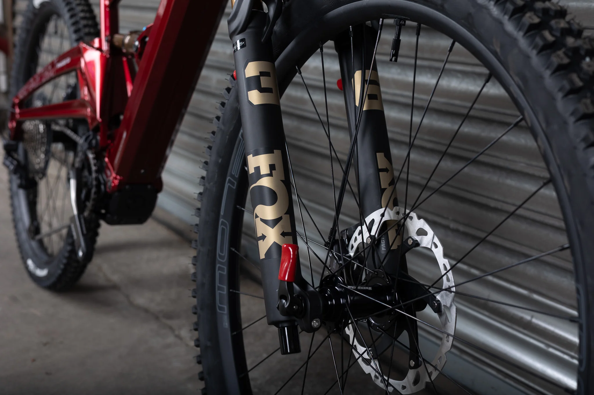 Phase Evo, Large, Oxblood Red CUSTOM BUILD - Image 4